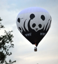 globos de WWF